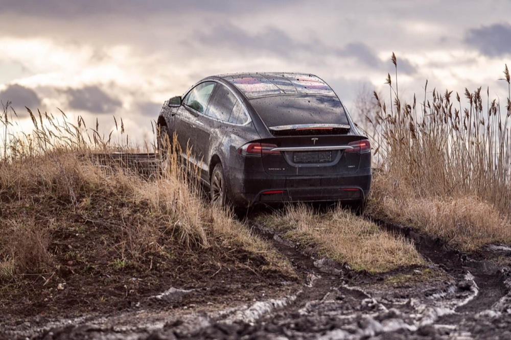 Tesla Model X off-road among reeds
