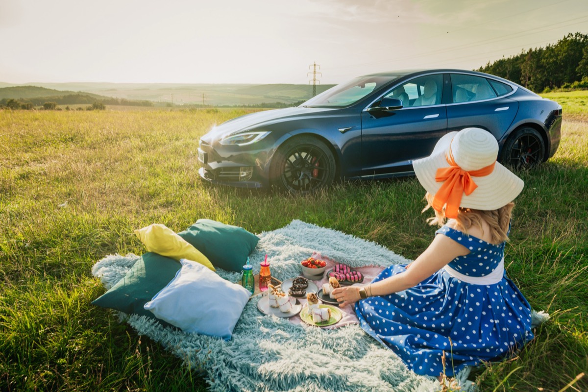 Tesla Model S Performance Raven and a picnic in a meadow