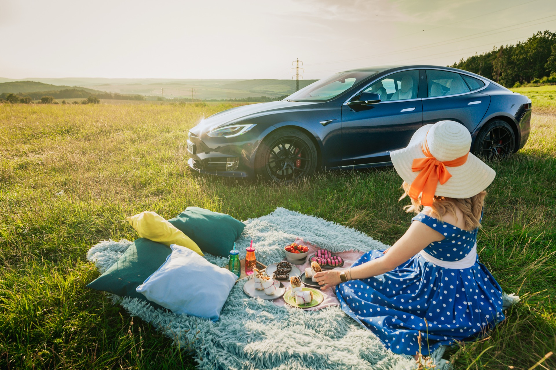 Tesla Model S Performance Raven and a picnic in a meadow